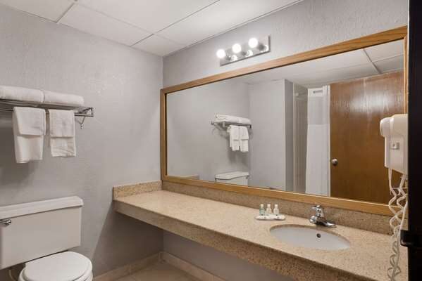 Accessible bathroom with roll-in shower